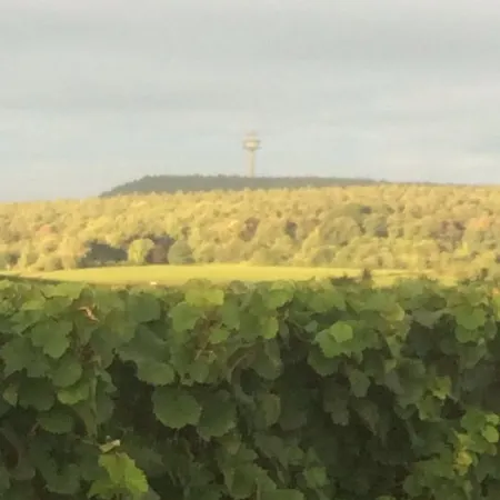 & Restaurant Weisenheimer Hof Hotel