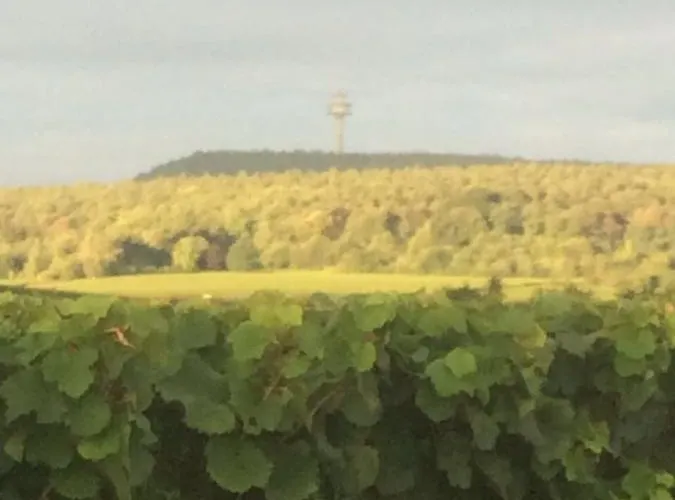 Hotel&restaurant Weisenheimer Hof Hotel